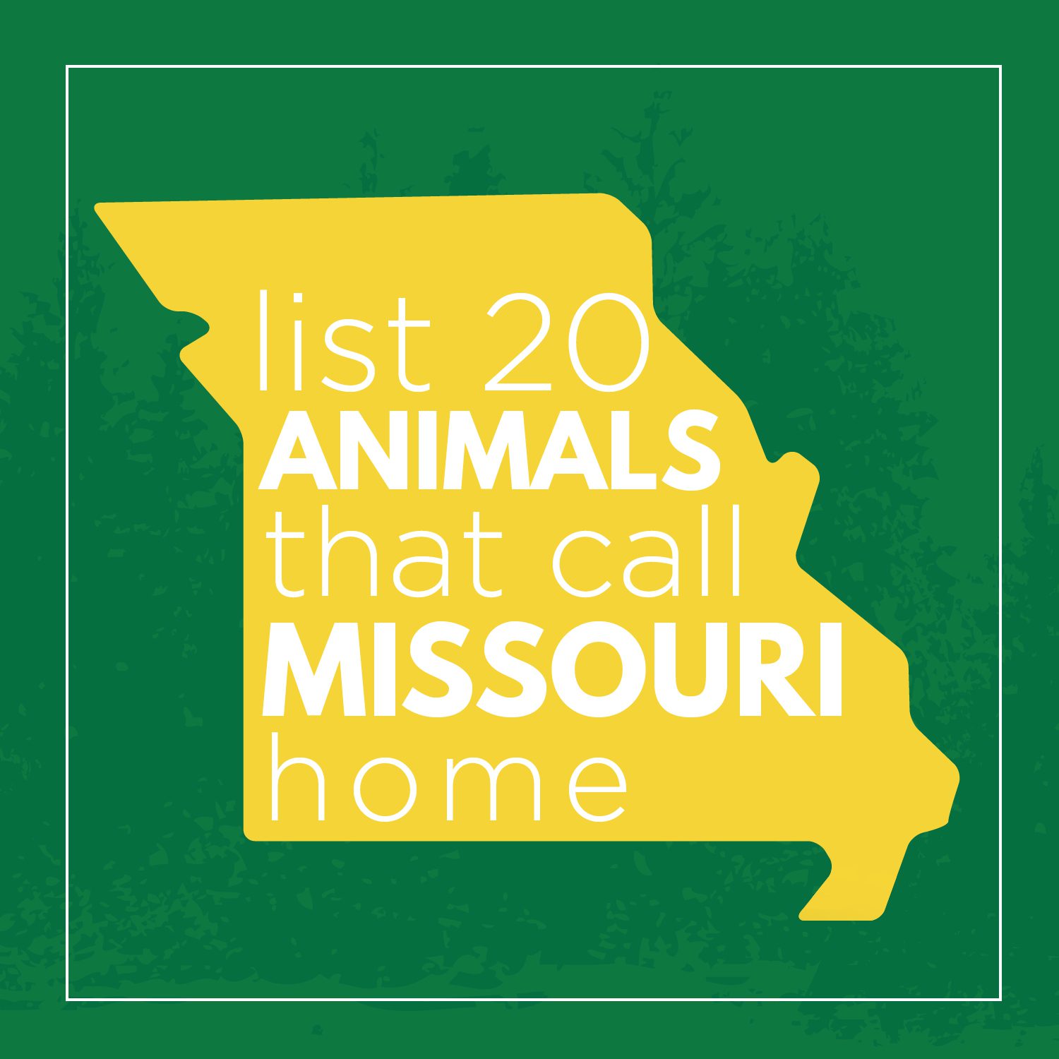 List 20 animals that call Missouri home