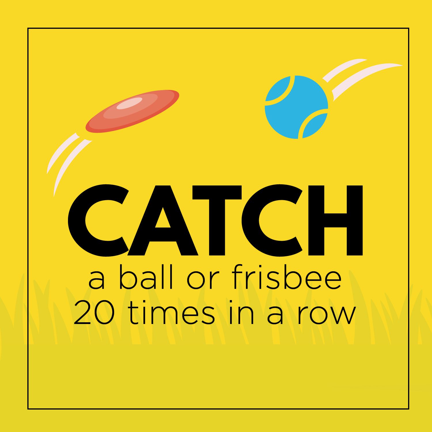 Catch a ball or frisbee 20 times in a row
