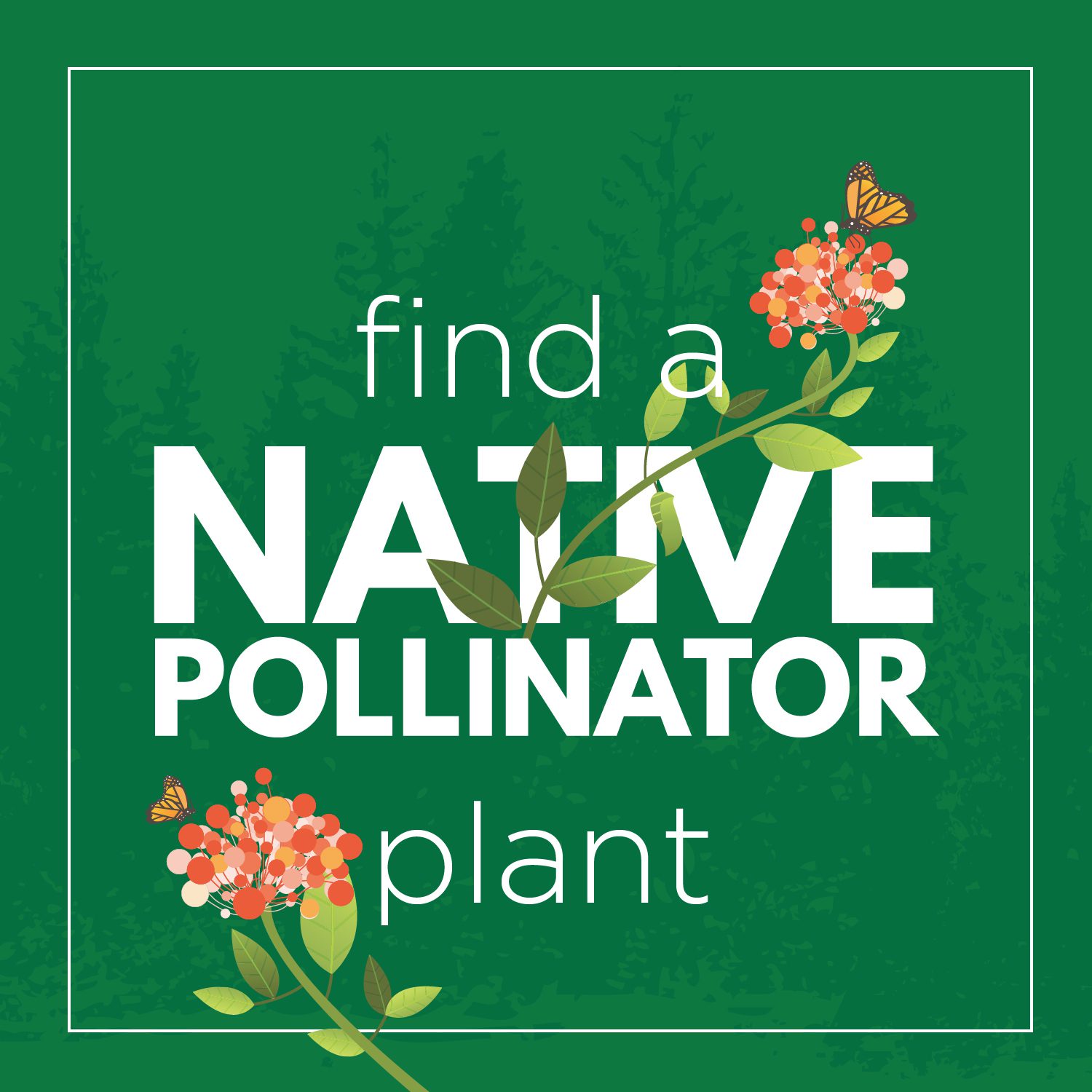 Find a Native Pollinator Plant