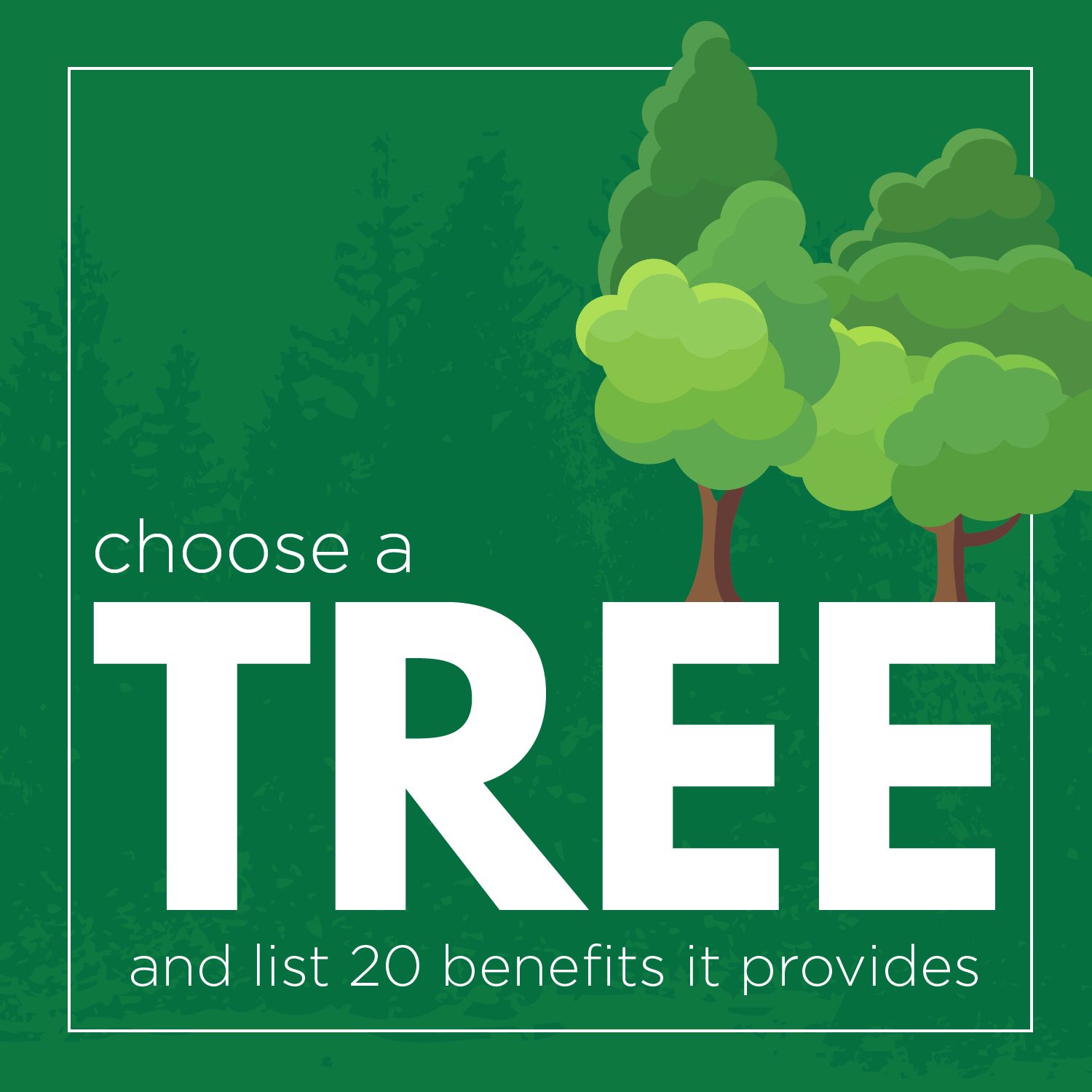 Choose a tree and list 20 benefits it provides