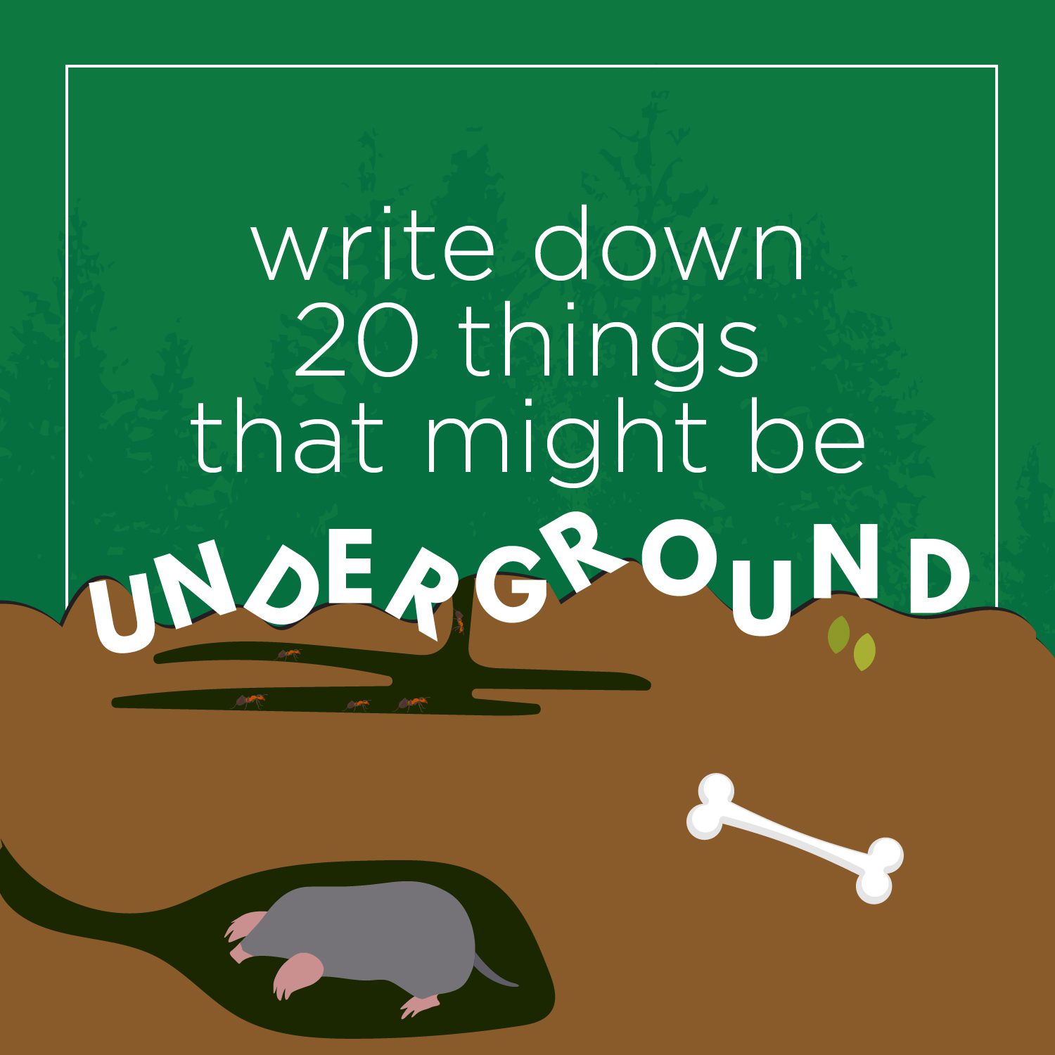 Write down 20 things that might be underground