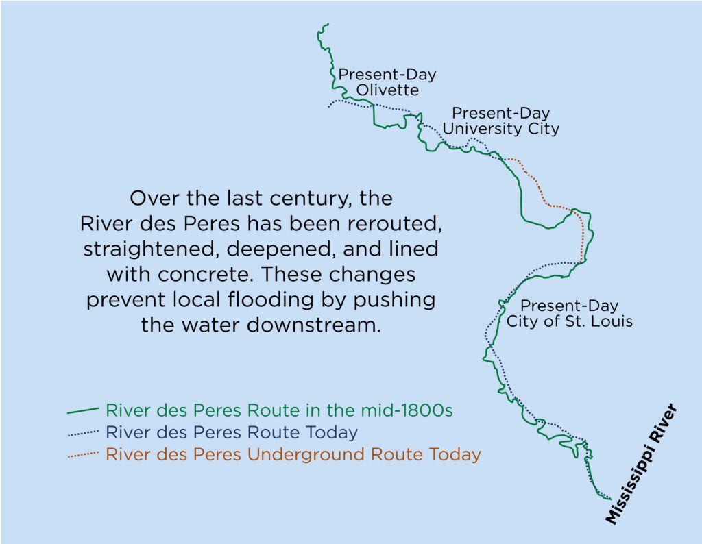 Over the last century, the River des Peres has been rerouted, straightened, deepened, and lined with concrete. These changes prevent local flooding by pushing the water downstream.
