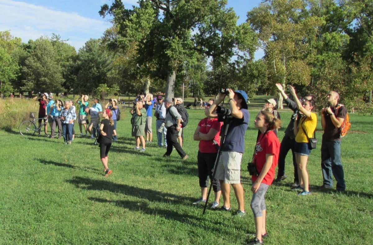 St. Louis Audubon Society Beginner Bird Walk-Meramec Greenway