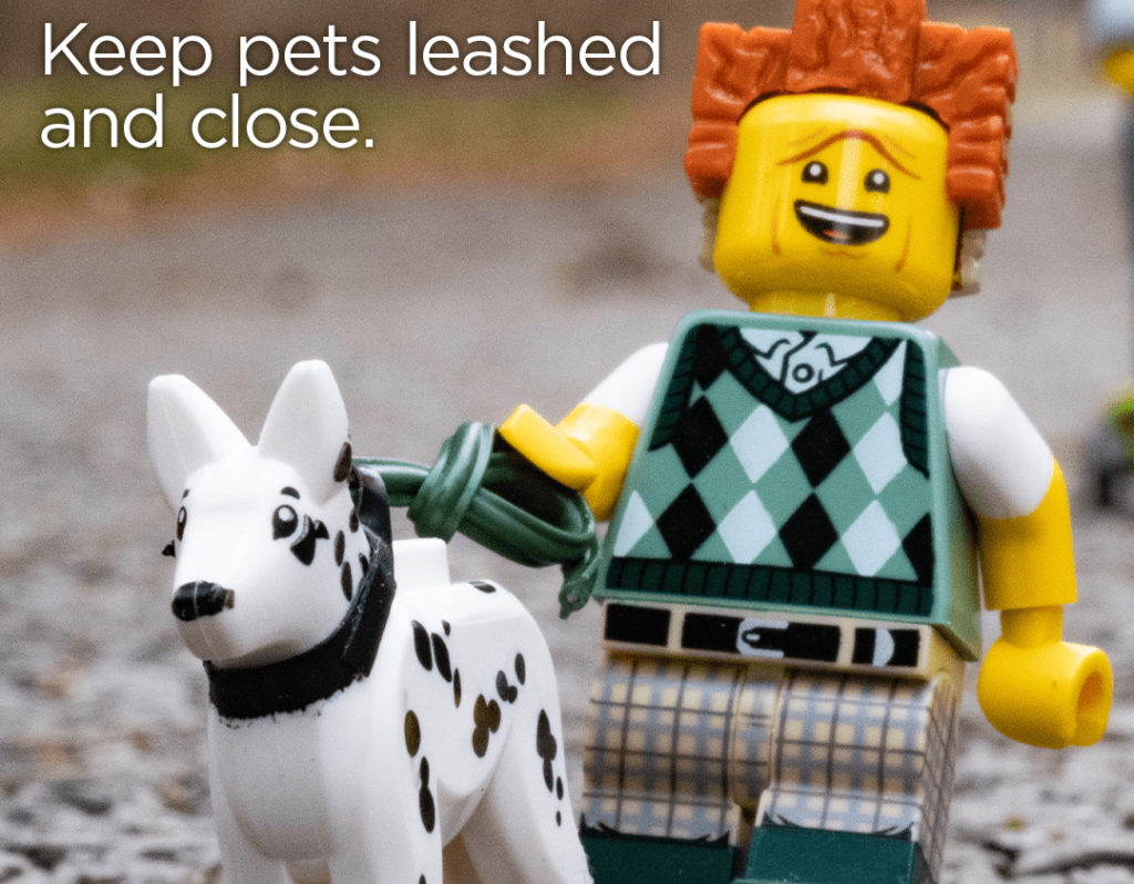Lego human and dog on leash with text: "Keep pets leashed and close."