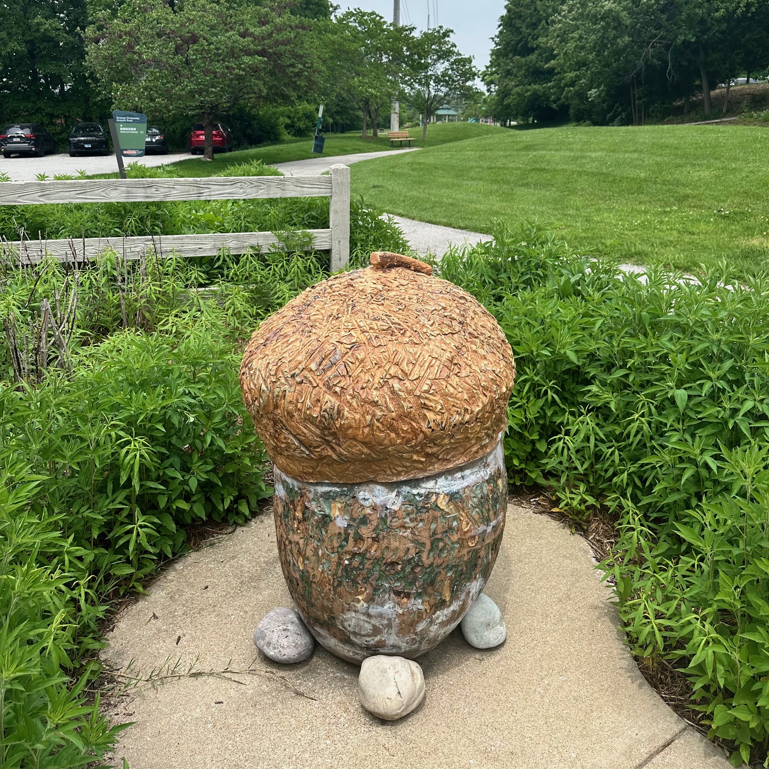 Acorns