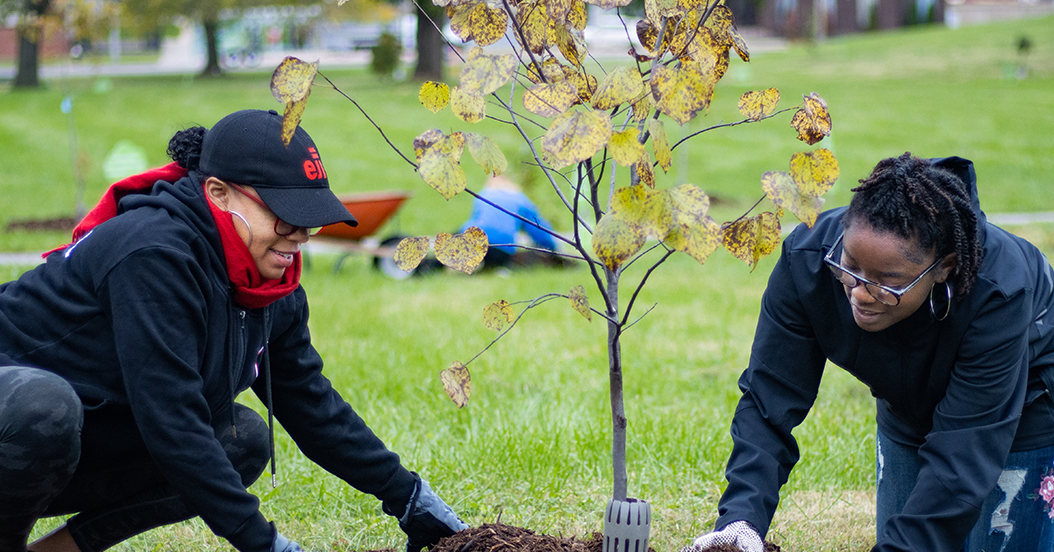Treeplanting