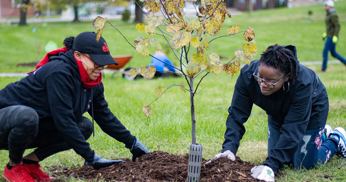 Treeplanting